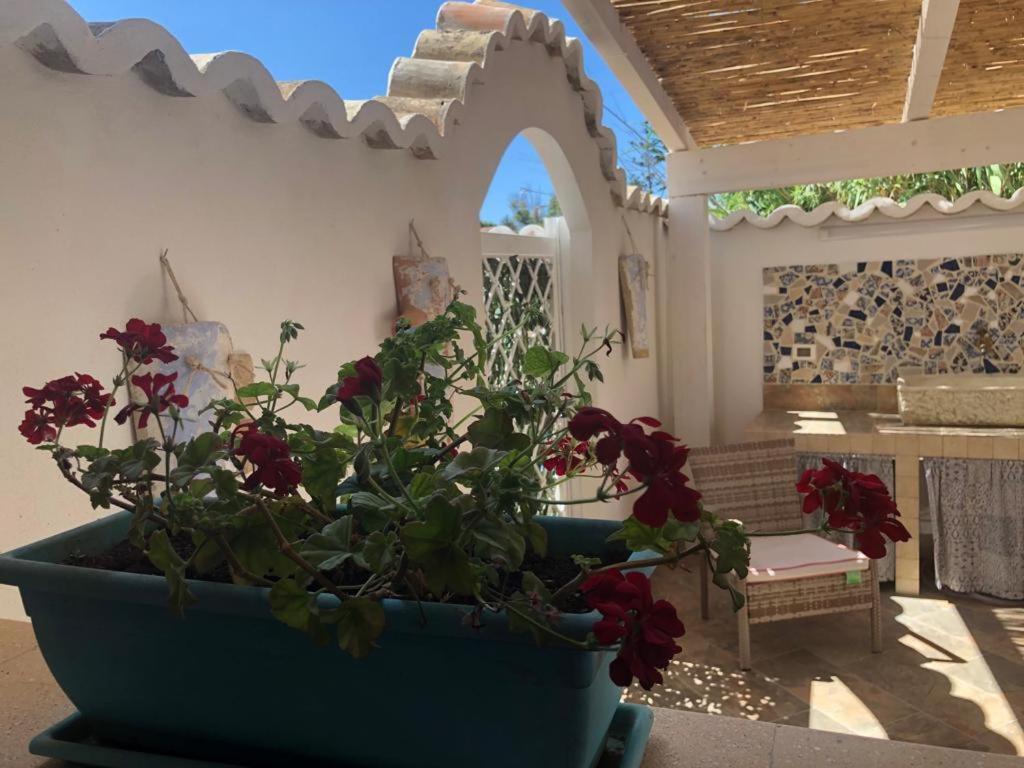 Вилла Cala Marina Holidays Траппето Экстерьер фото
